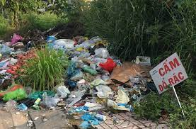 Vứt rác bừa bãi bị xử lý như thế nào?
