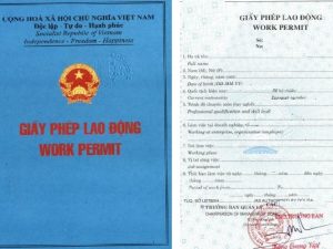 Thủ tục xin cấp lại giấy phép lao động khi thay đổi quốc tịch