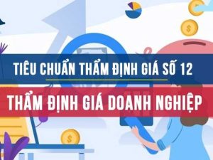 Tiêu chuẩn thẩm định giá doanh nghiệp Việt Nam