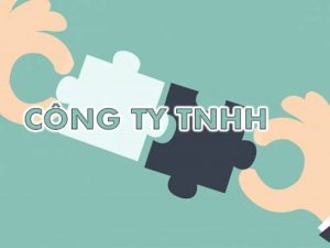 Nghĩa vụ của chủ sở hữu công ty TNHH một thành viên theo quy định?