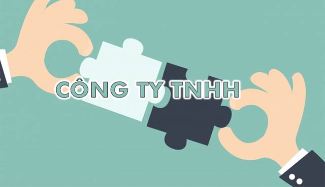 Pháp luật về quyền của chủ sở hữu công ty TNHH một thành viên?