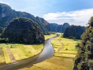 Dịch vụ đăng ký bảo hộ nhãn hiệu trọn gói tại Ninh Bình