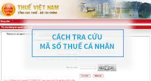 Dịch vụ đăng ký mã số thuế cá nhân trọn gói giá rẻ tại Lâm Đồng