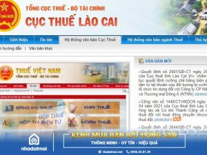 Dịch vụ đăng ký mã số thuế cá nhân trọn gói giá rẻ tại Lào Cai