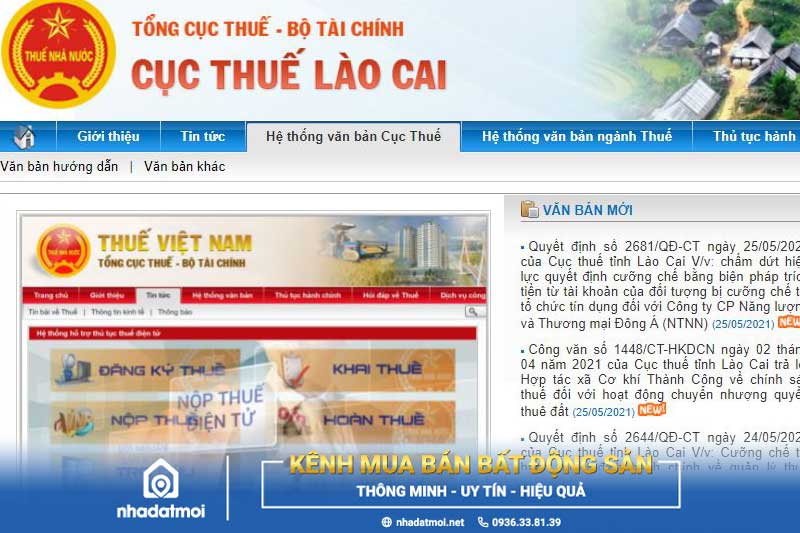 Dịch vụ đăng ký mã số thuế cá nhân trọn gói giá rẻ tại Lào Cai