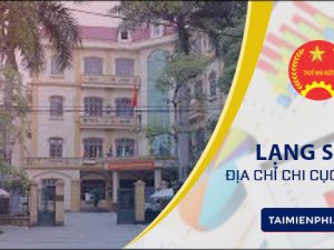Dịch vụ đăng ký mã số thuế cá nhân trọn gói giá rẻ tại Lạng Sơn