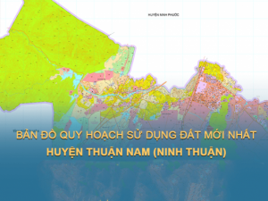 Dịch vụ tra cứu thông tin quy hoạch nhanh chóng tại Ninh Thuận