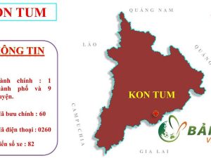 Dịch vụ tra cứu thông tin quy hoạch nhanh chóng tại Kon Tum