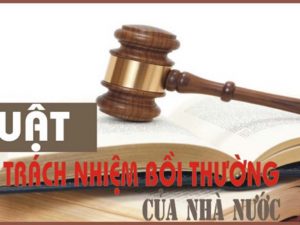 Luật Trách nhiệm bồi thường của Nhà nước năm 2017