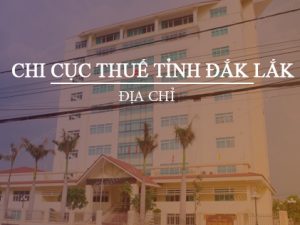 Dịch vụ đăng ký mã số thuế cá nhân trọn gói giá rẻ tại Đắk Lắk