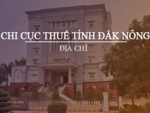 Dịch vụ đăng ký mã số thuế cá nhân trọn gói giá rẻ tại Đắk Nông