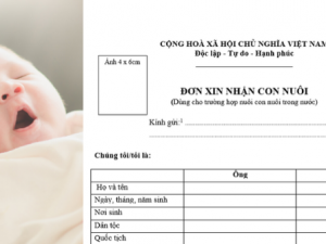 Mẫu đơn xin nhận con nuôi