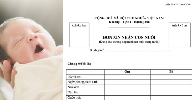 Mẫu đơn xin nhận con nuôi