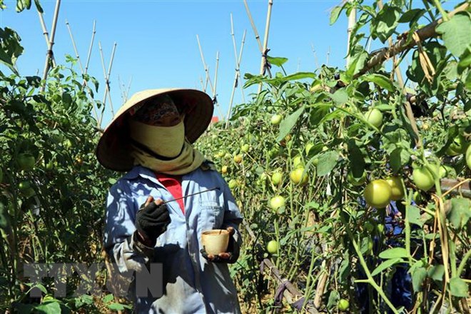 Luật Trồng trọt năm 2018