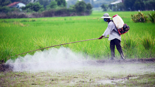 Luật Bảo vệ và kiểm dịch thực vật 2013