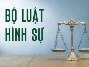 Phân tích điều 143 bộ luật hình sự