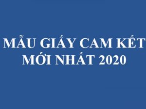 Mẫu cam kết làm việc tại công ty mới nhất 2022