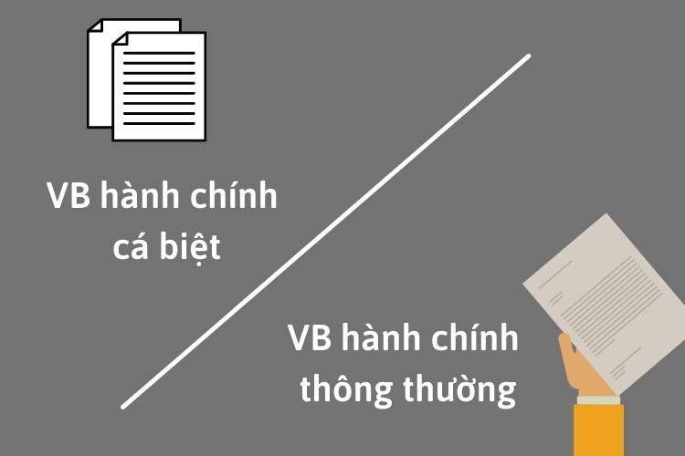 Quyết định cá biệt là gì theo quy định hiện nay