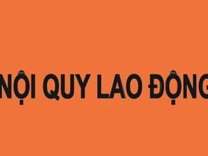 Chi nhánh có phải đăng ký nội quy lao động không?