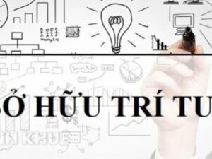 Đăng ký sở hữu trí tuệ tại Việt Nam