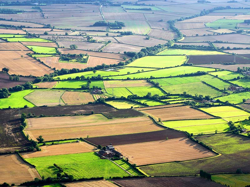 Quy định về thu hồi đất nông nghiệp để đấu giá như thế nào?