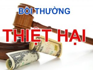 Điều 590 Bộ luật dân sự 2015 có nội dung gì nổi bật