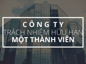 Điều kiện thành lập công ty TNHH 1 thành viên năm 2022