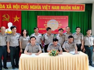 Những sai phạm trong thi hành án dân sự