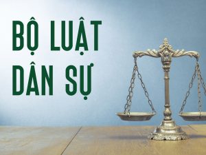 Phân tích Điều 254 Bộ luật dân sự 2015?