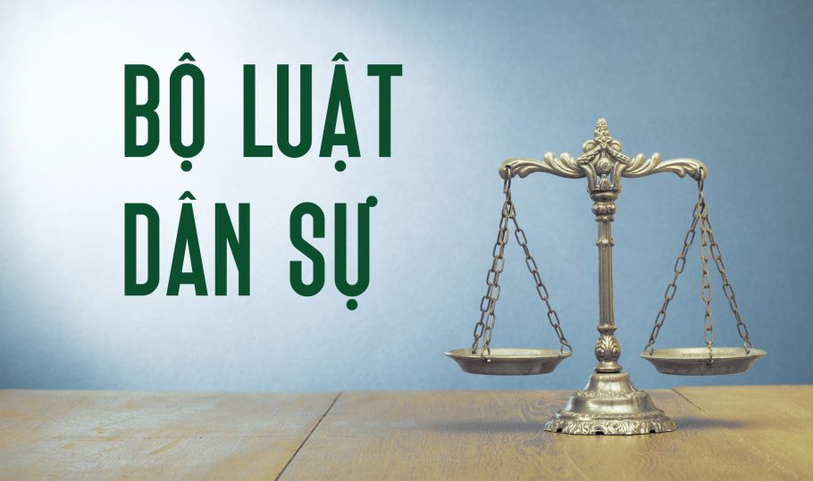 Phân tích Điều 254 Bộ luật dân sự 2015?