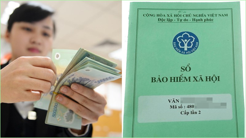 Bảo hiểm xã hội Việt Nam có phải là cơ quan thuộc chính phủ?