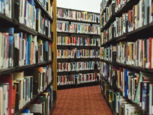 Nguyên tắc và cách xếp lương đối với viên chức chuyên ngành thư viện?