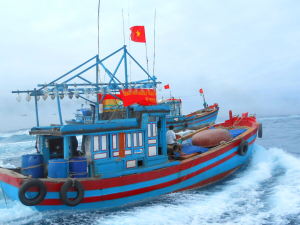 Tàu đánh bắt nguồn lợi thủy sản được phép hoạt động tại mọi vùng biển Việt Nam không?
