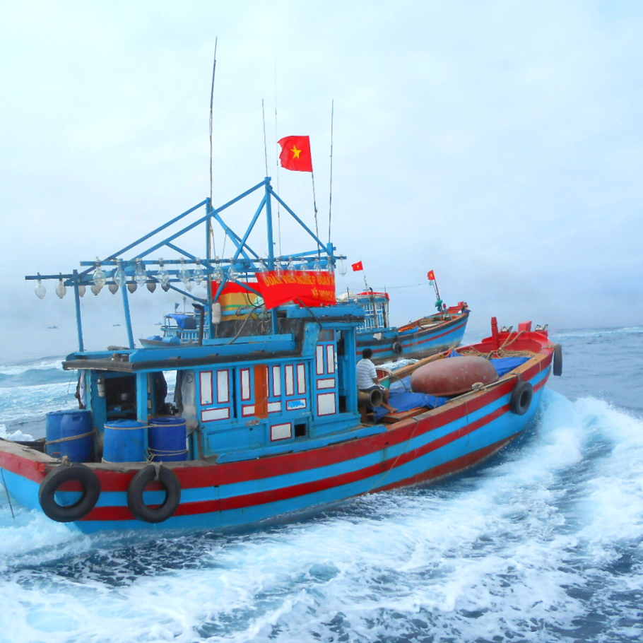 Tàu đánh bắt nguồn lợi thủy sản được phép hoạt động tại mọi vùng biển Việt Nam không?
