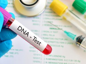 Xác nhận cha không cần xét nghiệm ADN được không?