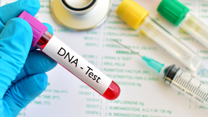 Xác nhận cha không cần xét nghiệm ADN được không?
