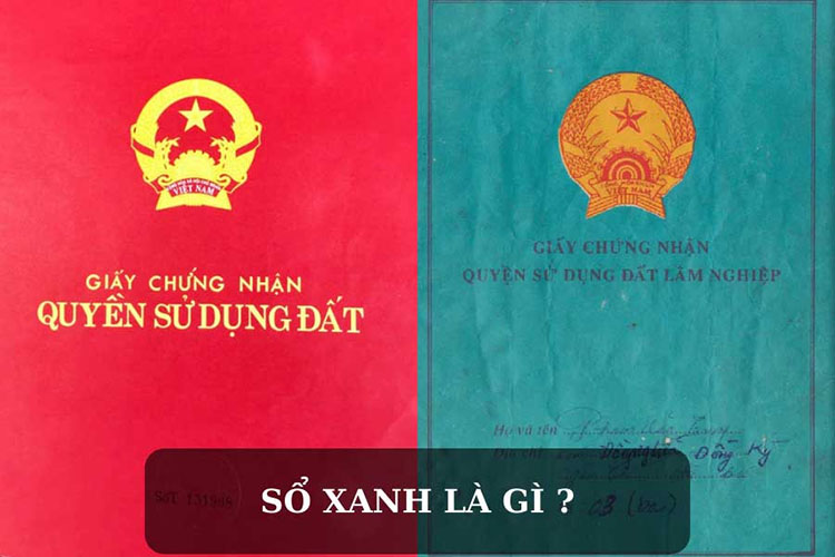 Sổ xanh là gì? Giá trị đất sổ xanh theo quy định năm 2022