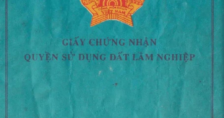 Sổ xanh là gì? Giá trị đất sổ xanh theo quy định năm 2022