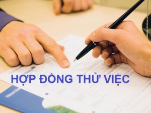 Thử việc có được thưởng Tết không theo quy định?