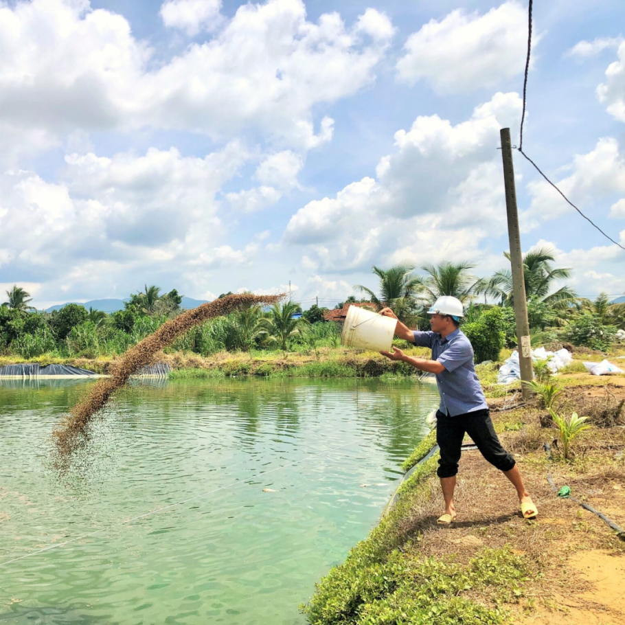 Chuyển đổi đất ruộng sang đất ao như thế nào?