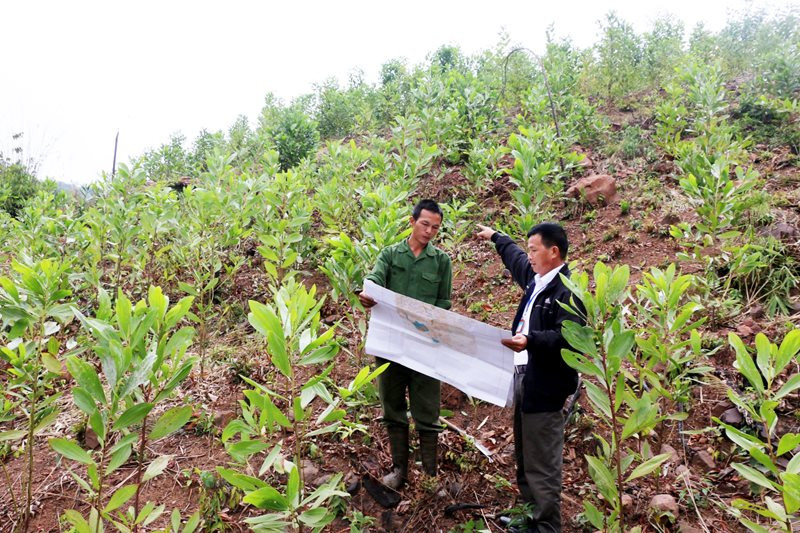 Chính sách giao đất, giao rừng của Nhà nước cho nhân dân như thế nào?