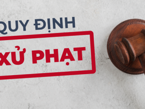 Xử phạt vi phạm quy định về giao thông đường thủy như thế nào?