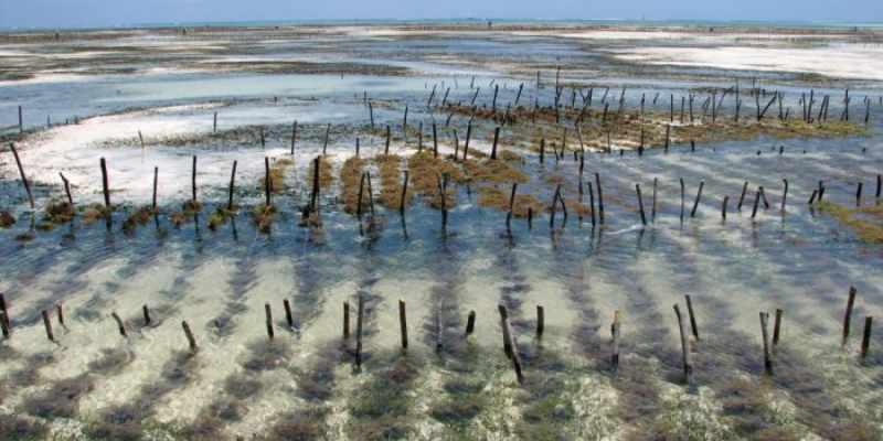 Đất nuôi trồng thủy sản là loại đất gì?