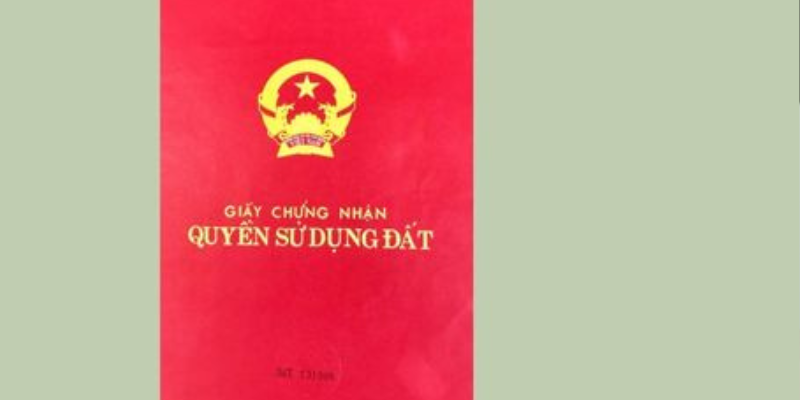 Cơ quan nào cấp sổ đỏ lần đầu?