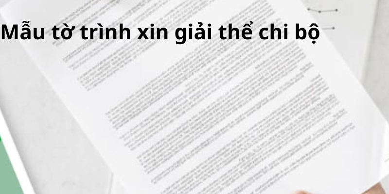 Mẫu tờ trình xin giải thể chi bộ mới năm 2024